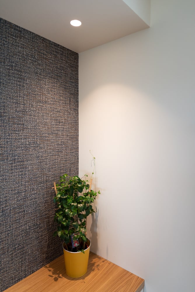 00-plateau-bois-plante-vegetation-niche-tv