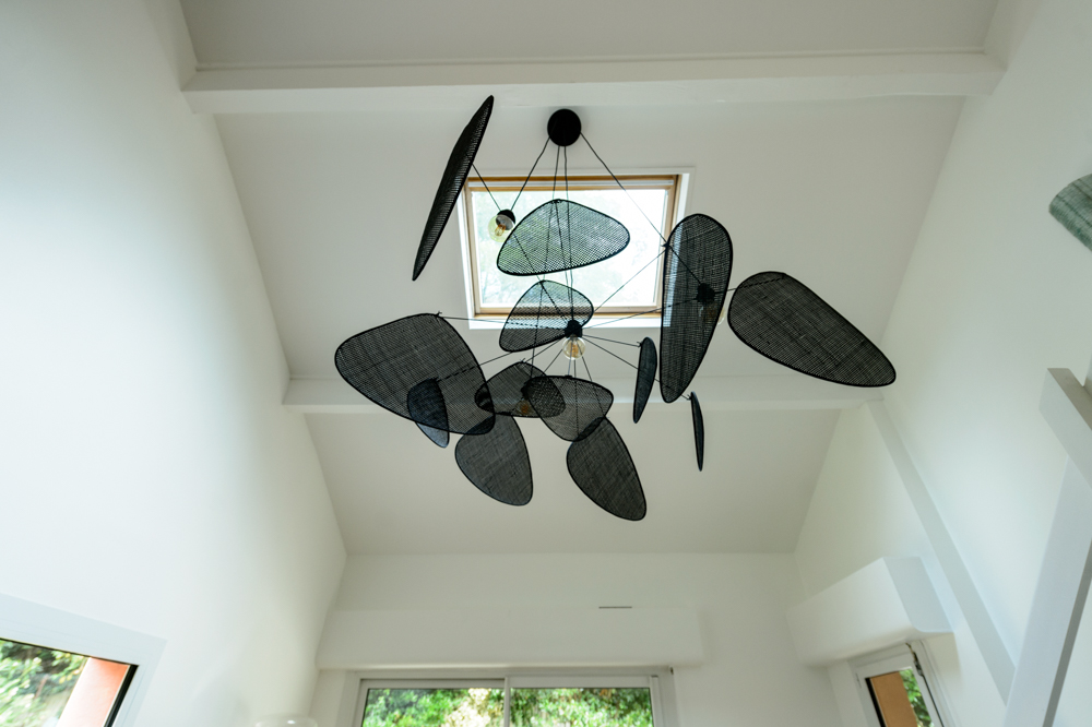00-velux-suspension-interieur-decoration-lumiere-cannage-noire-volume-lumineux-verdure-exterieur-deplafonne-ambiance