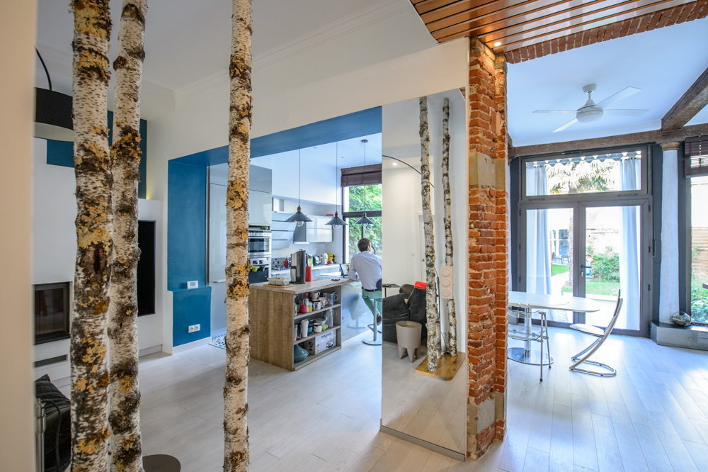 beaux-interieurs-cuisine-ouverte-et-decoree