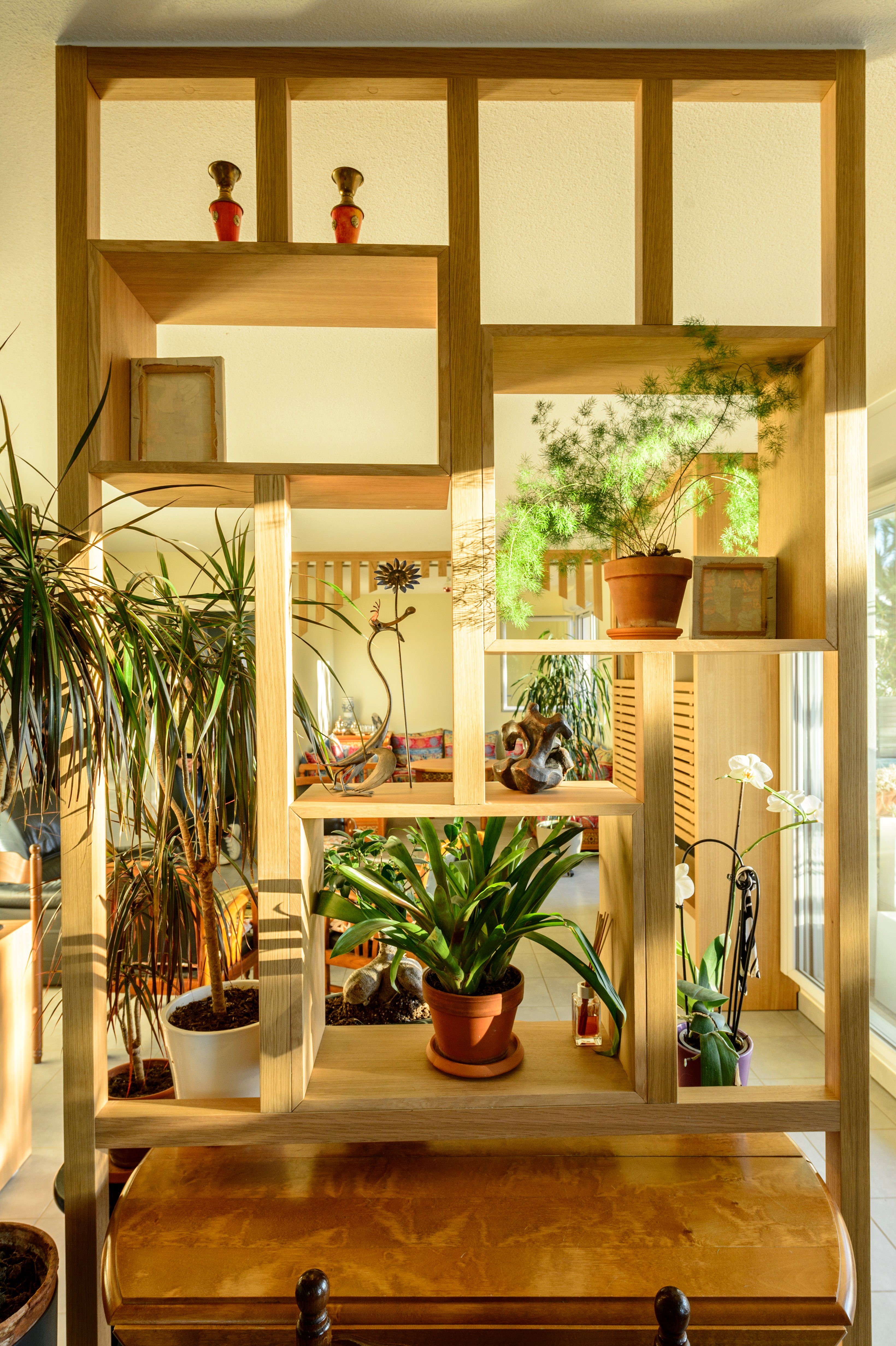 claustra-adapte-sejour-cuisine-plante-decoration-amenagement-sur-mesure