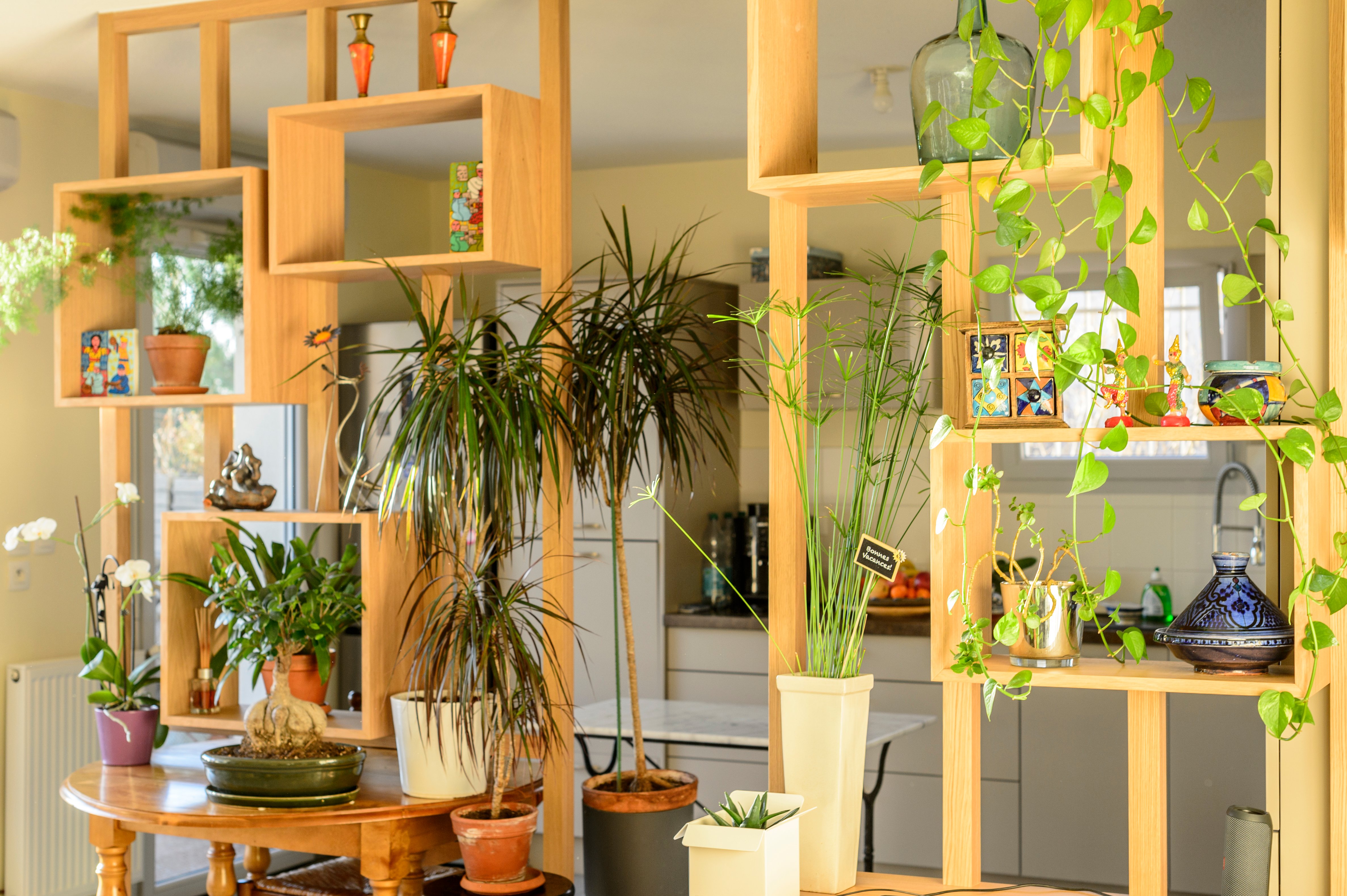 claustra-bois-chene-massif-plante-verdure-ambiance-cosy-1