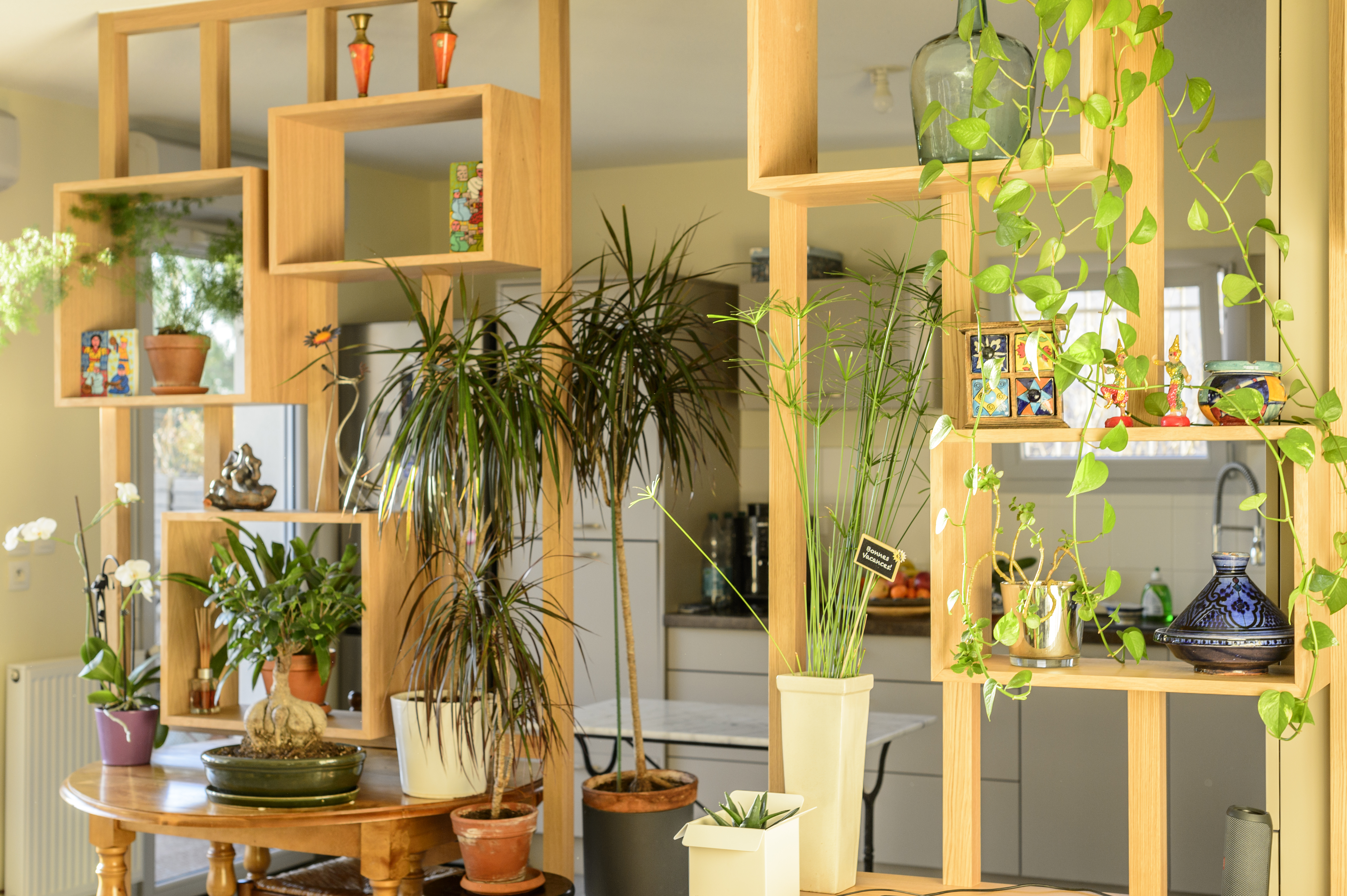 claustra-bois-chene-massif-plante-verdure-ambiance-cosy