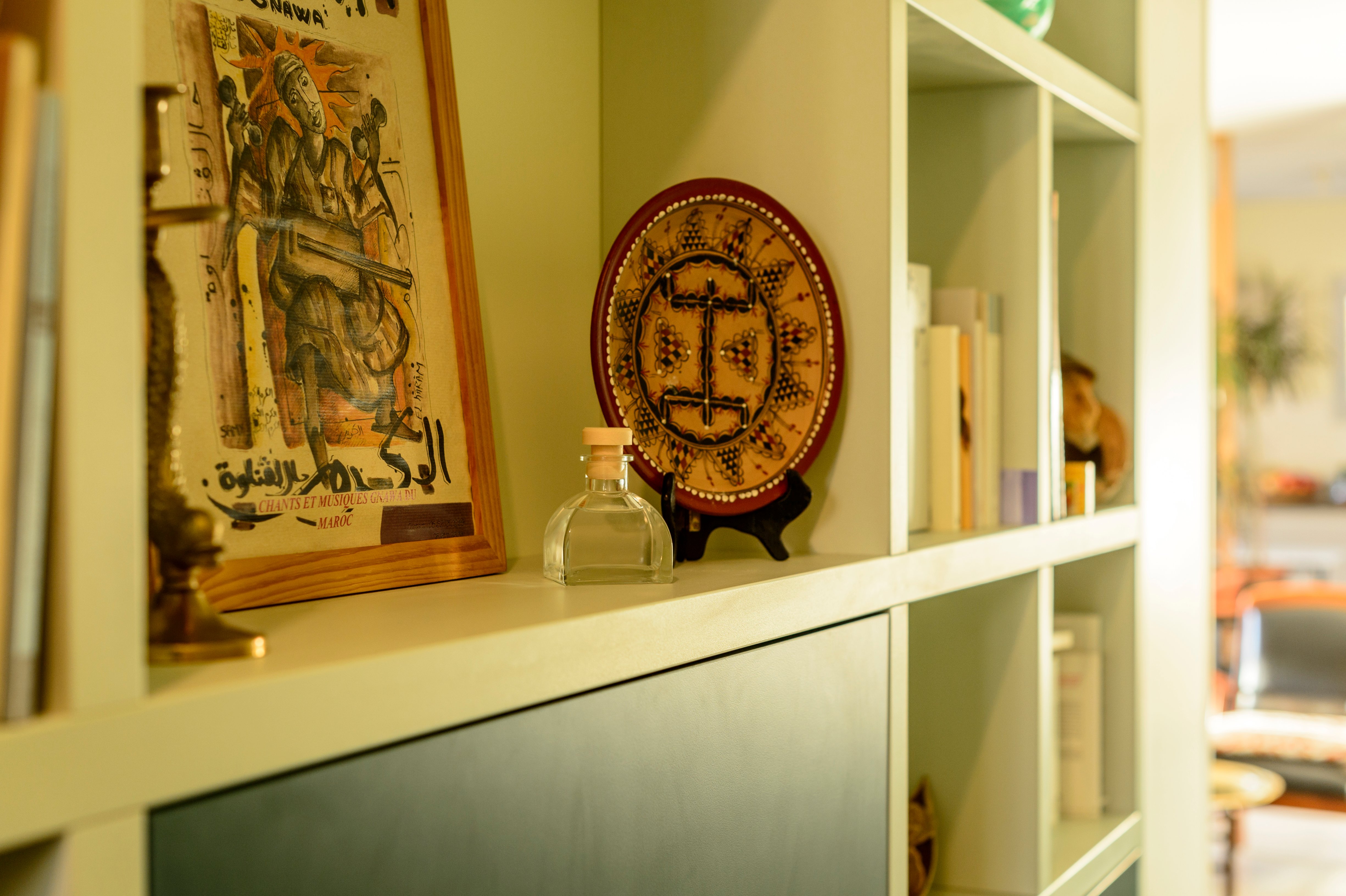 detail-decoration-etagere-verte-stratifie-menuisier