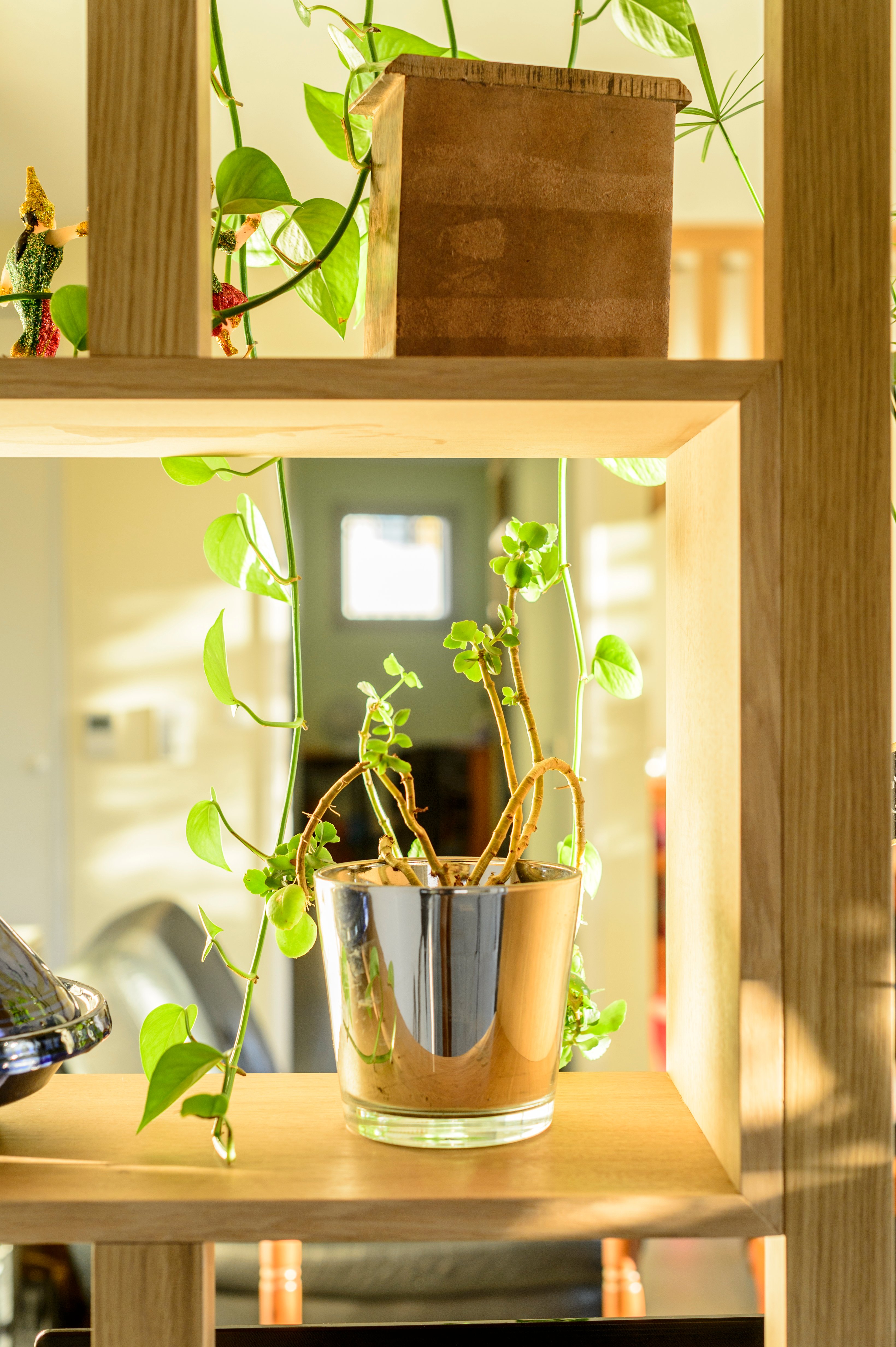 detail-etagere-finition-mat-naturel-douce-bois-massif-chene