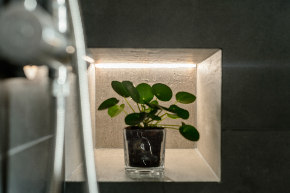 00-niche-douche-plante-retroeclairage-sombre-robinetterie